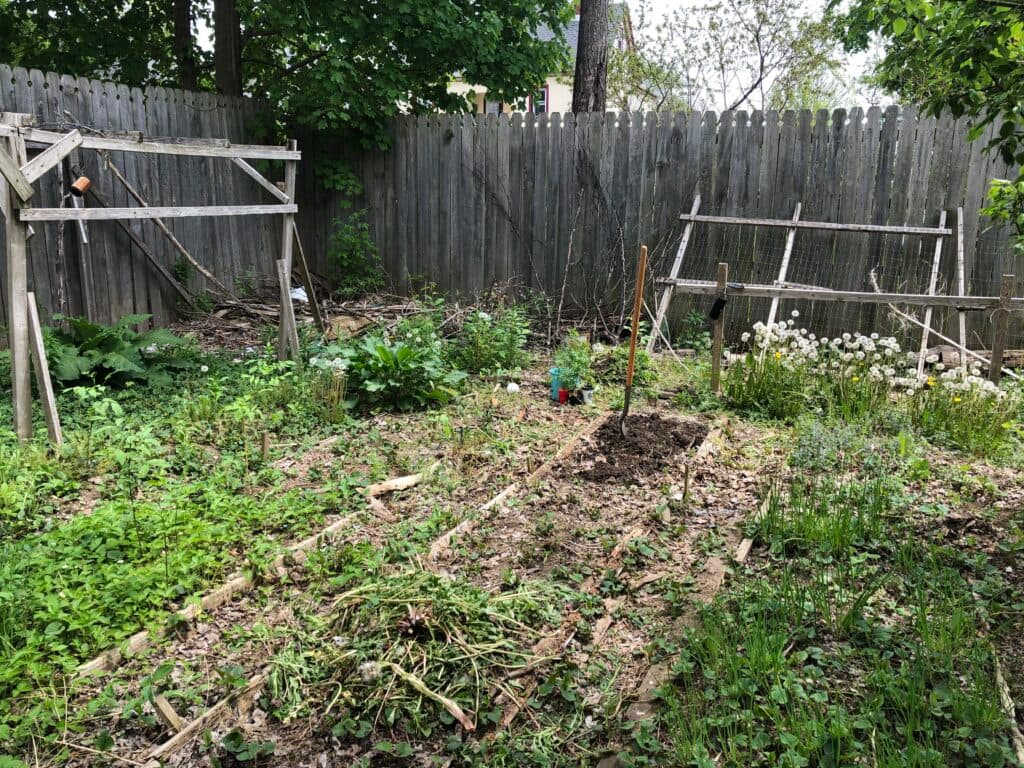 Before